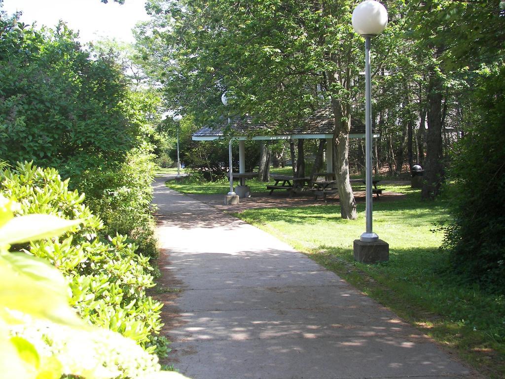 Mount Saint Vincent Auberge de jeunesse